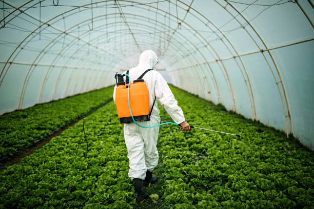 Best Pest Inspection Near Me  in Fall River, MA