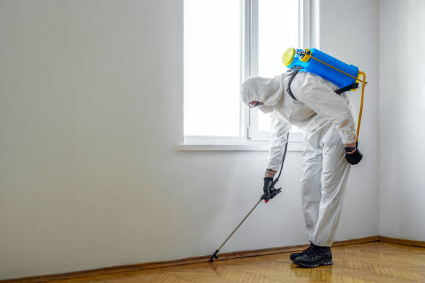 Best Pest Removal Services  in Fall River, MA