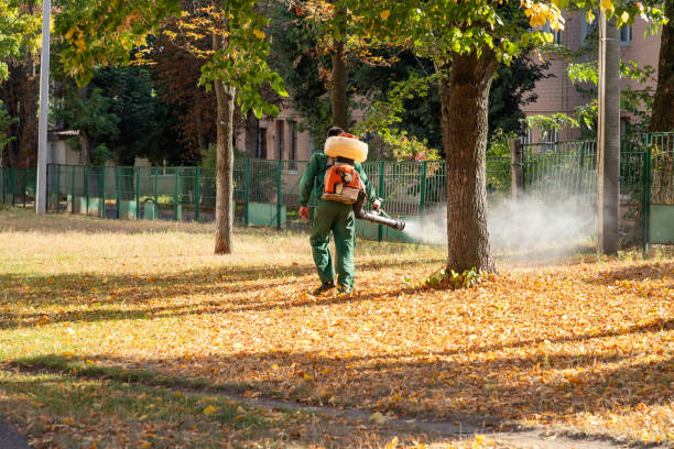 Best Pest Control Near Me  in Fall River, MA