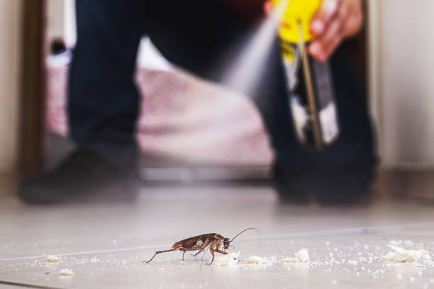Best Best Pest Control Companies  in Fall River, MA